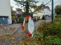 Rabatten Schulstrasse