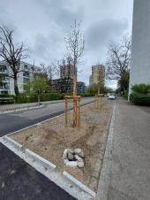 Versickerungsmulde Hardstrasse Ecke Lärchengartenstrasse