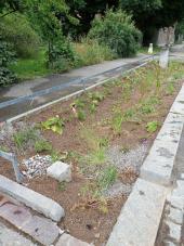 Versickerungsmulde Schulstrasse