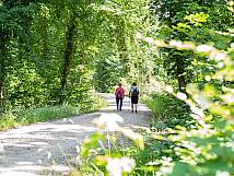 Spaziergänger im sommerlichen Hardwald