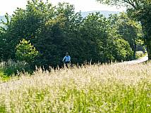 Marie Lotz-Promenade am Rhein