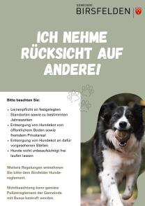Flyer Hundehaltung