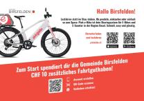 Flyer Pick-e-Bike