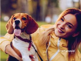 Amicus – Die nationale Hundedatenbank