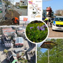 Birsfelden in Bewegung