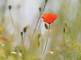 Sicher unter­wegs und be­glei­tet durch Ver­änder­ungen im Al­ter