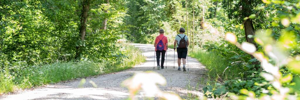 Spaziergänger im Hardwald