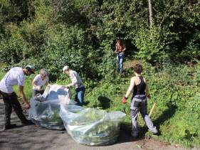 Global Recycling Day am 18. März | Neophyten-Aktionstage zum mitmachen